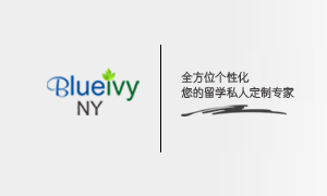 Blue Ivy NY Education Group Inc--蓝色常春藤纽约教育集团中英双语网站